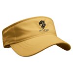 Sun Visor