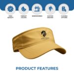 Sun Visor