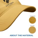Sun Visor