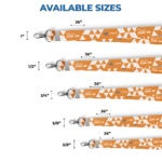 Lanyard