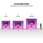 Backlit Foldable Pop-Up